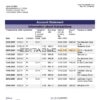 Pakistan Faysal bank statement template in Word and PDF format