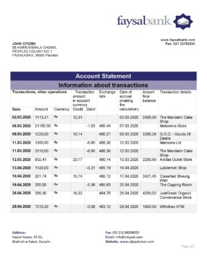 Pakistan Editable Templates 3 Pakistan Faysal bank statement template in Word and PDF format