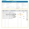 Pakistan JS bank e-statement, Word and PDF template, 3 pages
