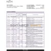 Pakistan Meezan bank statement Excel and PDF template