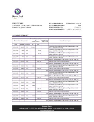 Pakistan Meezan bank statement Excel and PDF template