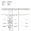 Pakistan Meezan bank statement Word and PDF template, 2 pages