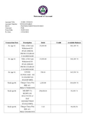 Pakistan Meezan bank statement Word and PDF template, 2 pages