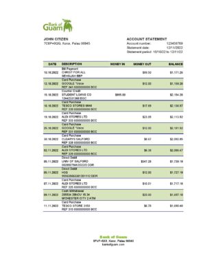 Palau Bank of Guam Bank statement Excel and PDF template