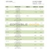 Palau Bank of Guam bank statement template in Word and PDF format