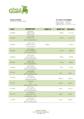 Palau Bank of Guam bank statement template in Word and PDF format