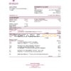 Palestine Bank of Palestine bank statement Excel and PDF template