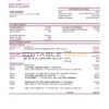 Palestine Bank of Palestine bank statement template in Word and PDF format