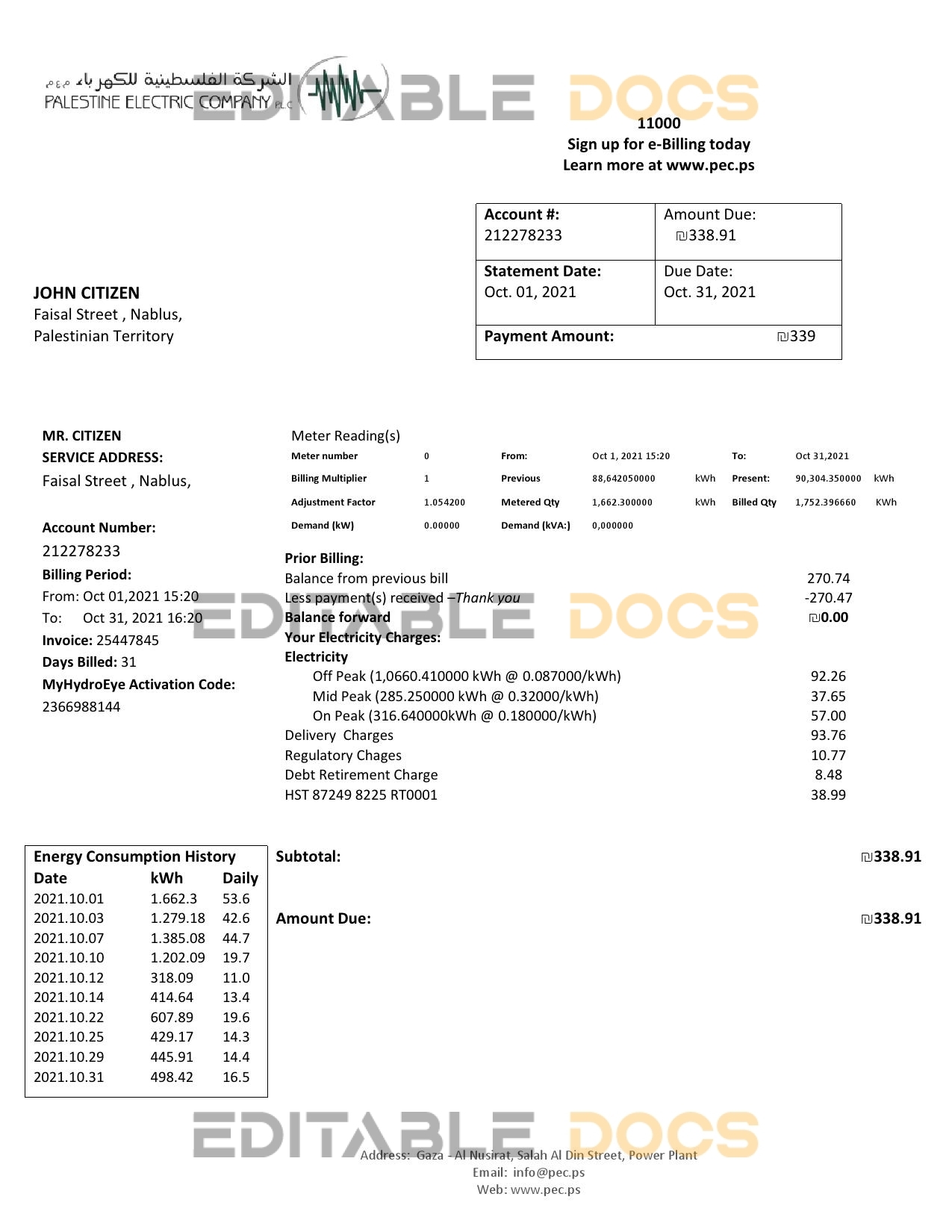 Palestine Electric Company (PEC) utility bill template in Word and PDF format