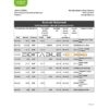 Palestine Quds bank statement Excel and PDF template