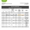 Palestine Quds bank statement template in Word and PDF format