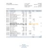 Panama Banistmo bank statement Excel and PDF template