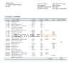Panama Banistmo bank statement template in Word and PDF format