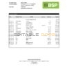 Papua New Guinea BSP bank statement Excel and PDF template