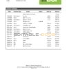 Papua New Guinea BSP bank statement template in Word and PDF format