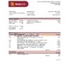 Papua New Guinea Kina Securities Limites bank statement Excel and PDF template
