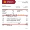 Papua New Guinea Kina Securities Limites bank statement template in Word and PDF format