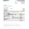 Paraguay BBVA bank statement Excel and PDF template