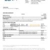 Paraguay BBVA bank statement template in Word and PDF format