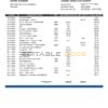 Paraguay Banco Amambay bank statement template in Word and PDF format