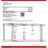 Peru Banco de Comercio bank statement template in Word and PDF format