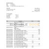 Peru Citibank bank statement Excel and PDF template