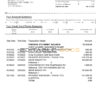Philippines BDO bank credit card statement, Word and PDF template, 2 pages