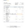 Philippines BDO bank statement Excel and PDF template