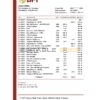 Philippines Bank of the Philippine bank statement easy to fill template in Excel and PDF format