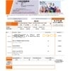 Philippines Rizal Commercial Banking Corporation (RCBC) credit card statement template in .xls and .pdf file format