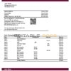 Poland Alior bank statement template in Word and PDF format