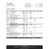 Portugal Banco BAI Europa bank statement Excel and PDF template