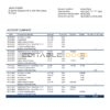 Portugal Banco BAI Europa bank statement in Word and PDF format