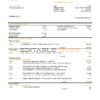 Qatar Doha Bank statement template in Word and PDF format