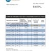 Qatar Qatar Islamic Bank statement template in Word and PDF format