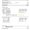 USA RG&E utility bill template in Word and PDF format (5 pages)