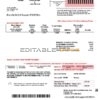 USA Rural Electric Cooperative utility bill template in Word and PDF format