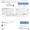 USA Rappahannock Electric Cooperative utility bill template in Word and PDF format