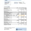 Romania Alpha Bank statement easy to fill template in Excel and PDF format