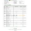 Romania CEC Bank statement easy to fill template in Excel and PDF format