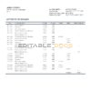 Russia Zenit Bank bank proof of address statement template in Word and PDF format