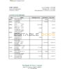 Saint Kitts and Nevis The Bank of Nevis bank statement, Excel and PDF template