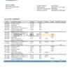 Saint Lucia Loyal Bank bank proof of address statement template in Word and PDF format