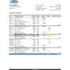 Saint Lucia Loyal bank statement, Excel and PDF template
