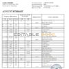 Saint Vincent and The Grenadines First Caribbean International Bank statement template in Excel and PDF format
