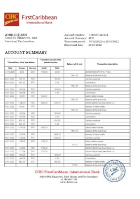 Saint Vincent and The Grenadines First Caribbean International Bank statement template in Excel and PDF format