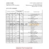 Saint Vincent and The Grenadines First Caribbean International bank statement, Excel and PDF template, version 2