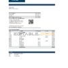 Samoa ANZ bank statement, Excel and PDF template