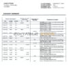 San Marino Banca Agricole Commerciale bank statement template in Word and PDF format