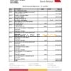 Saudi Arabia Bank Albilad bank statement easy to fill template in Excel and PDF format